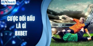 Cược Đối Đầu Là Gì? Cẩm Nang Kiến Thức Cho Người Mới