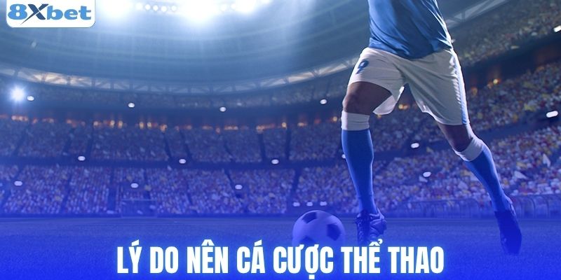 Lý do nên cá cược thể thao