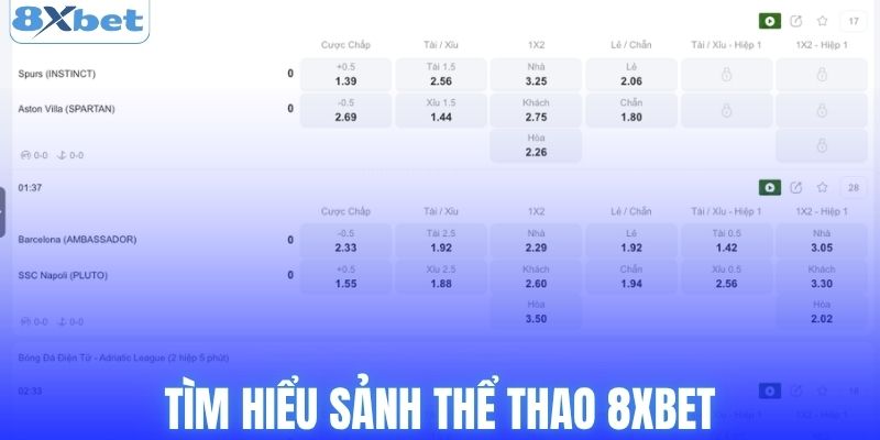 Tìm hiểu sảnh thể thao 8XBET